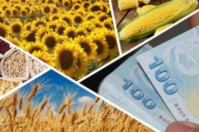 Veri ağına katılan tarımsal işletmelere destek
