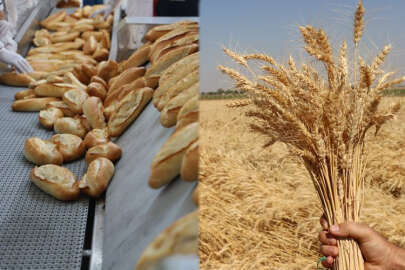 Hem ekmek üretiyor, hem de buğdayı