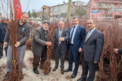 Bursa Büyükorhanlı çiftçiye fidan desteği